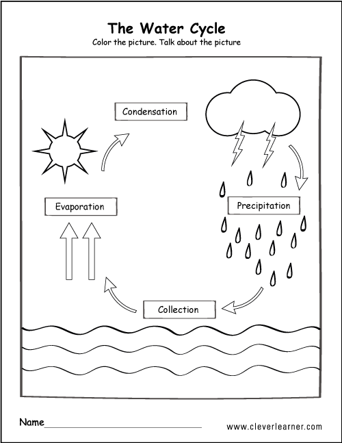 Illustration of the water cycle showcasing energy and forces involved for a sixth-grade science worksheet