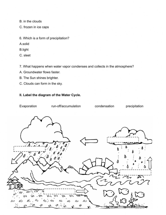 Labeled water cycle diagram showing evaporation condensation and precipitation processes for fifth grade students