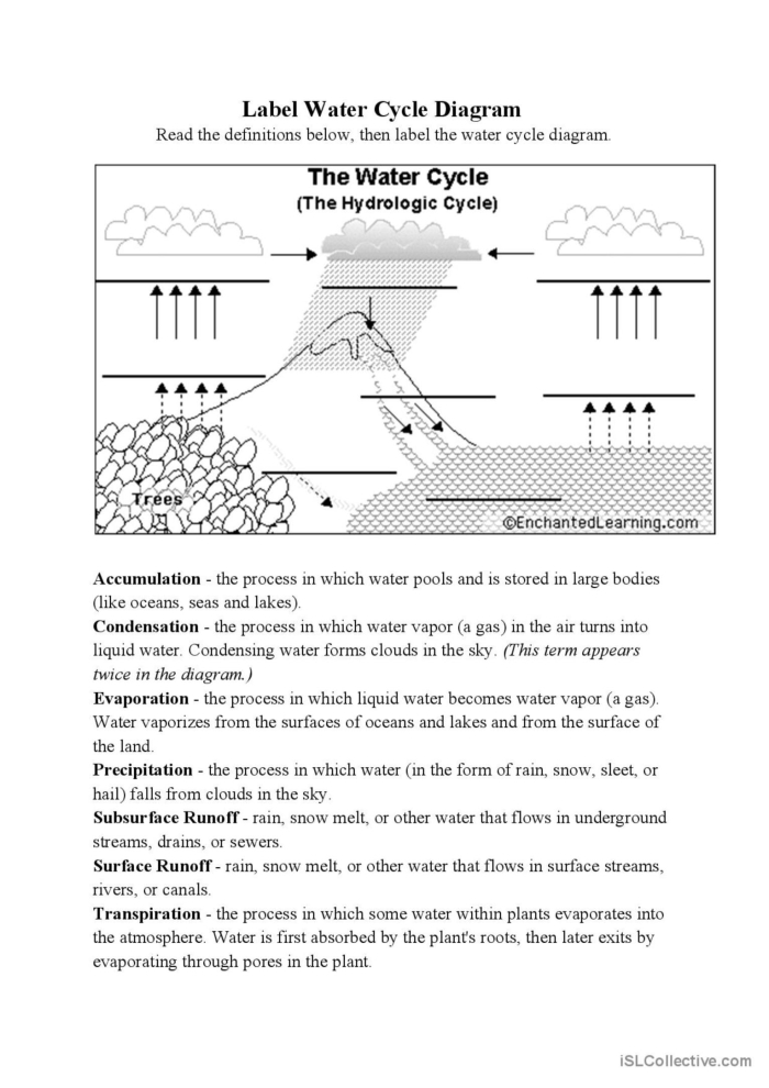 First grade student filling out a colorful water cycle diagram worksheet about cloud formation and rain