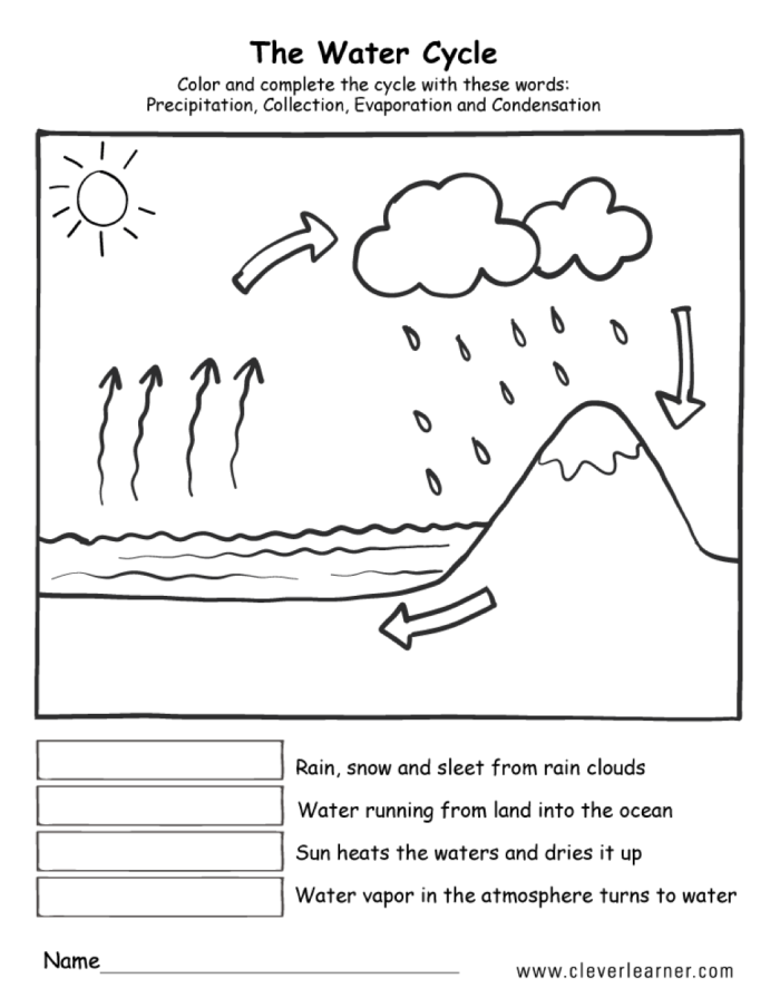 First grade student completing a cut and paste worksheet to label the water cycle parts