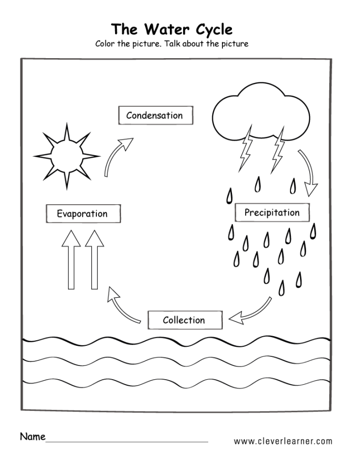 Fifth grade water cycle chart worksheet for coloring and weather science study