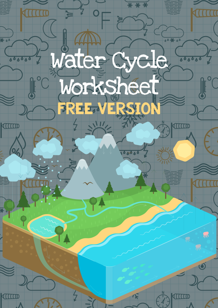 Fifth grade science worksheet featuring a detailed water cycle chart for students to color and label