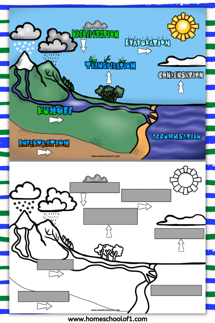 First grade student worksheet showing a labeled diagram of the water cycle to explain rain and clouds