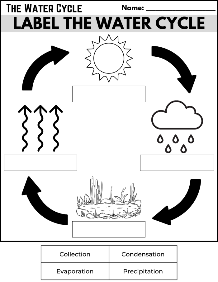 First grade water cycle diagram worksheet showing clouds, rain, and evaporation process for students learning about how rain forms