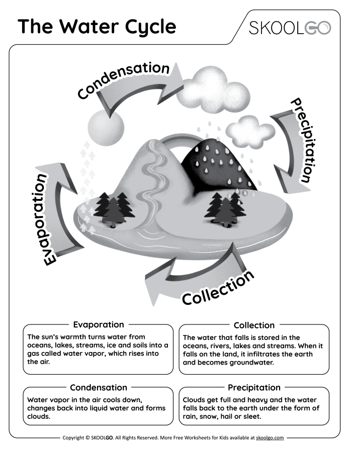 What Is the Water Cycle Worksheet Educational Science Resource 12 Fourth grade reading worksheet illustrating the stages of the water cycle
