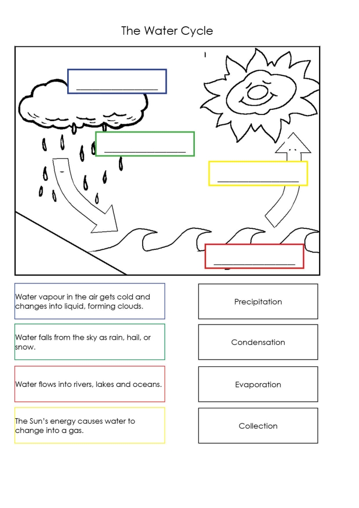 The Water Cycle: How Water Moves Through Earth's Atmosphere and Oceans Diagram showing the water cycle process with evaporation, condensation, and precipitation stages for fourth grade students