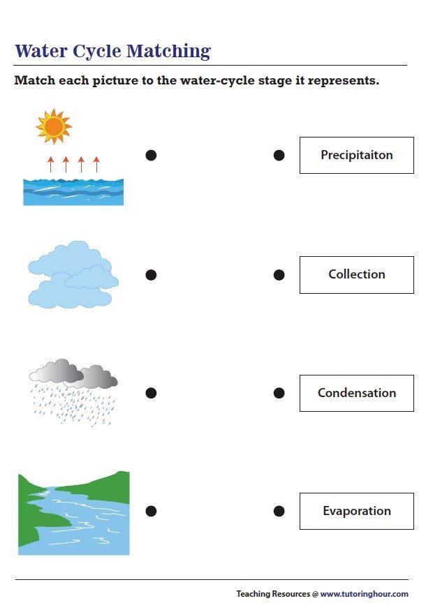 Fifth grade student completing a water cycle matching worksheet for science test preparation