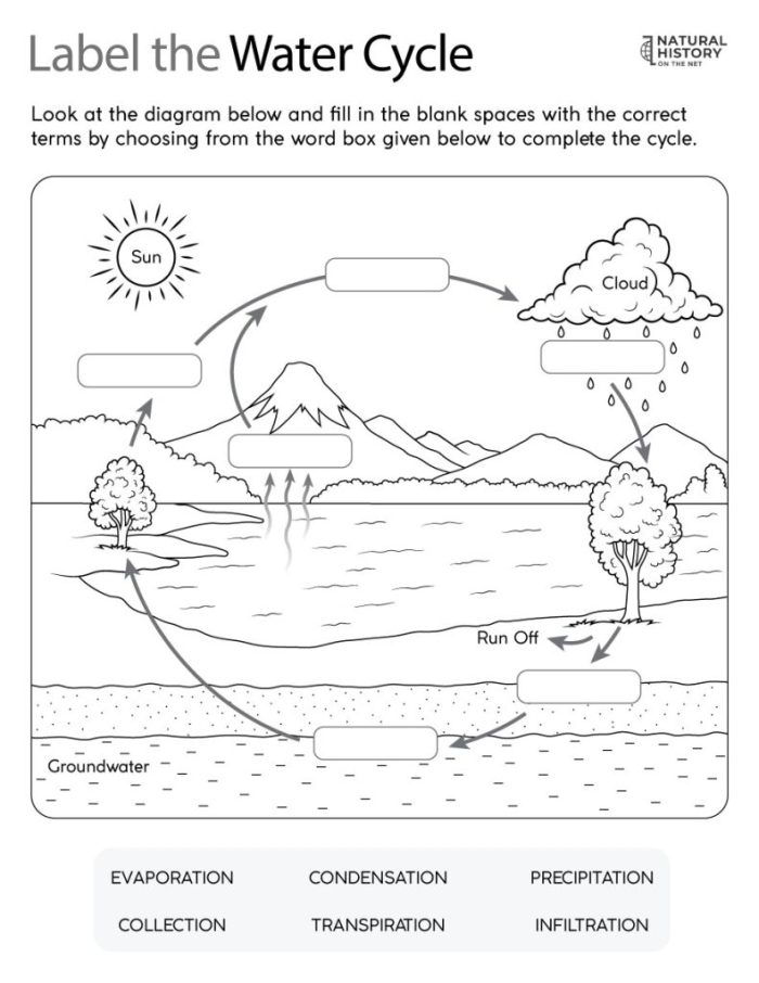 Fifth grade student completing a water cycle matching activity for science review