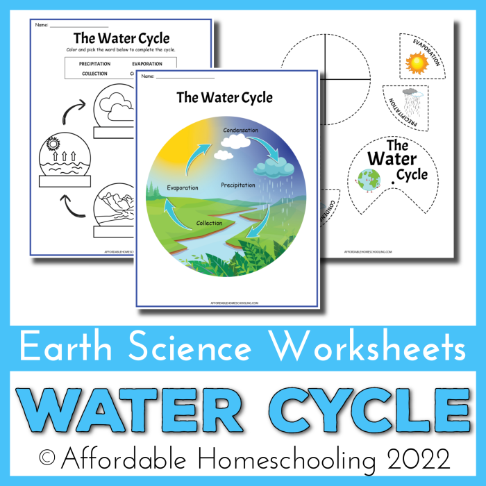 Colorful diagram showing the water cycle with precipitation falling from clouds to the ground as part of a third grade learning worksheet