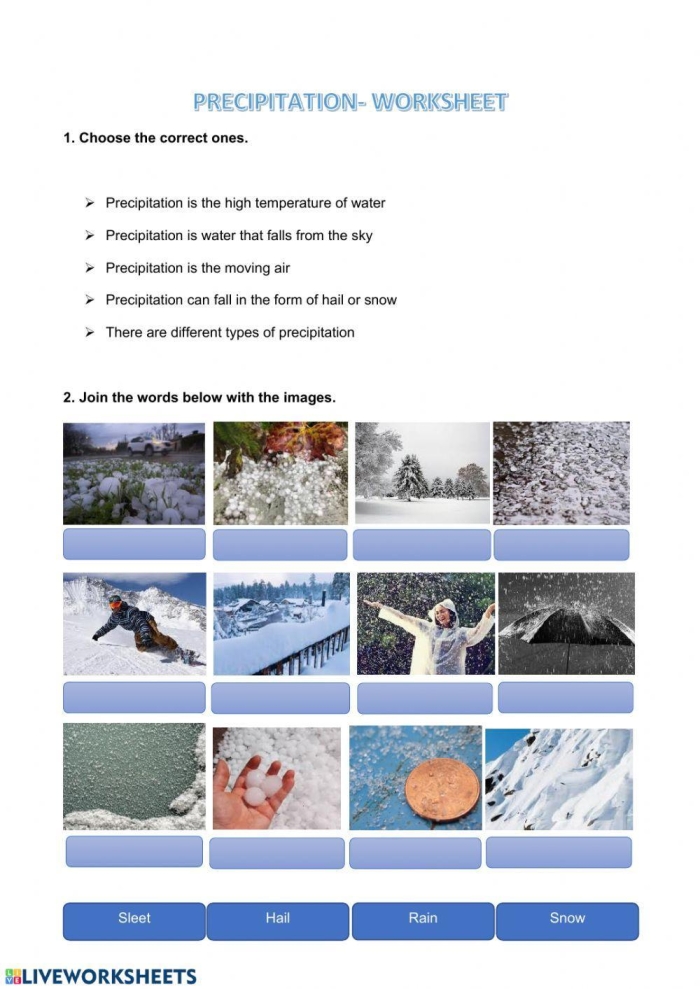 Third grade science worksheet illustrating the precipitation stage of the water cycle for students to label