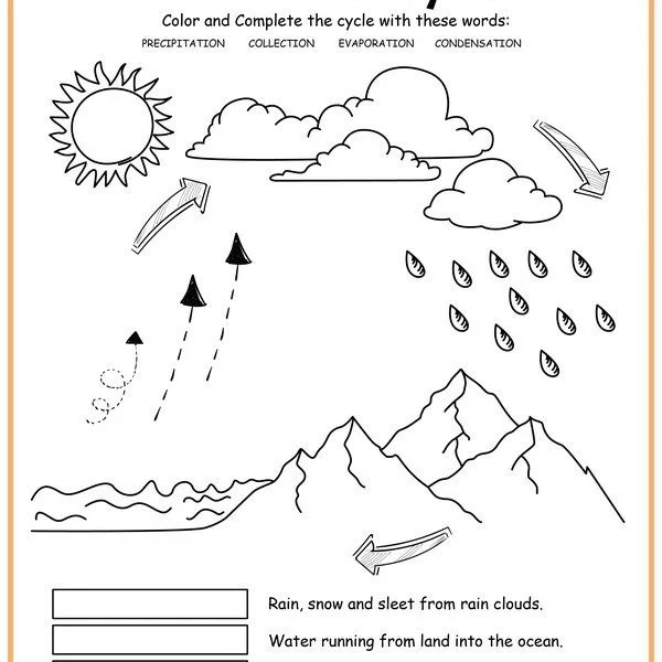 Colorful diagram showing water cycle precipitation with clouds releasing rain and arrows indicating the movement of water through evaporation and condensation stages for third grade students