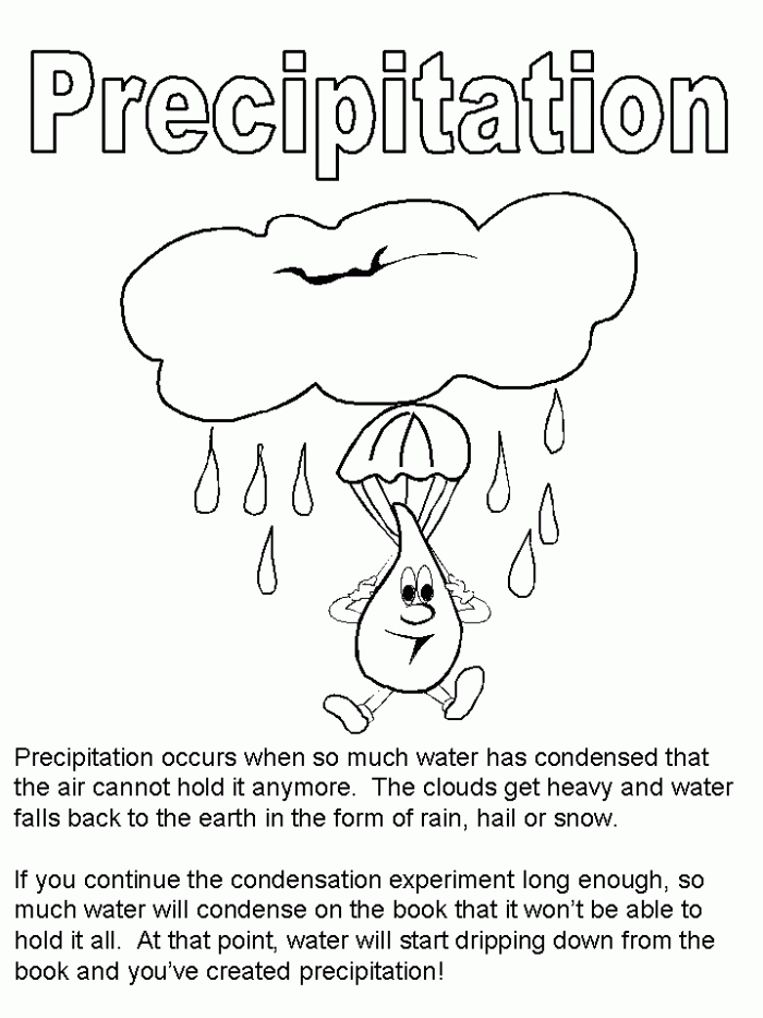 Third grade water cycle worksheet showing precipitation and matching activity