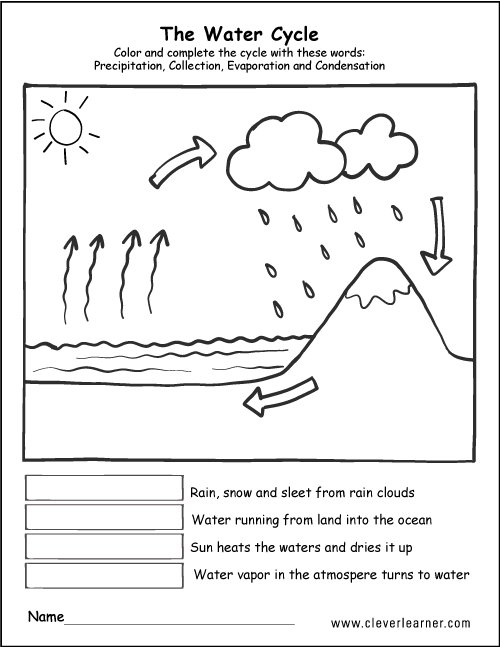 Third grade students match parts of the water cycle to this colorful precipitation diagram