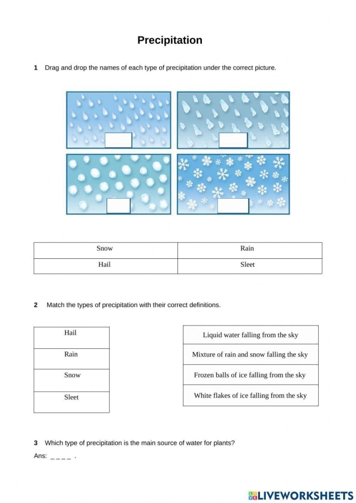 Third grade water cycle worksheet showing precipitation labels and matching activity