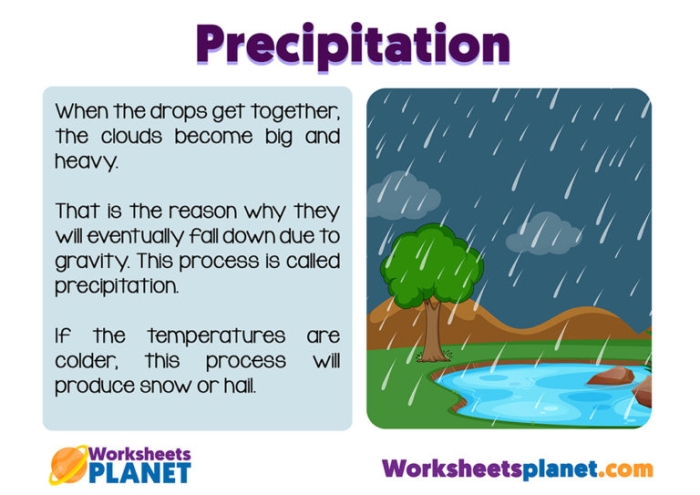 Third grade water cycle worksheet showing precipitation and cycle matching