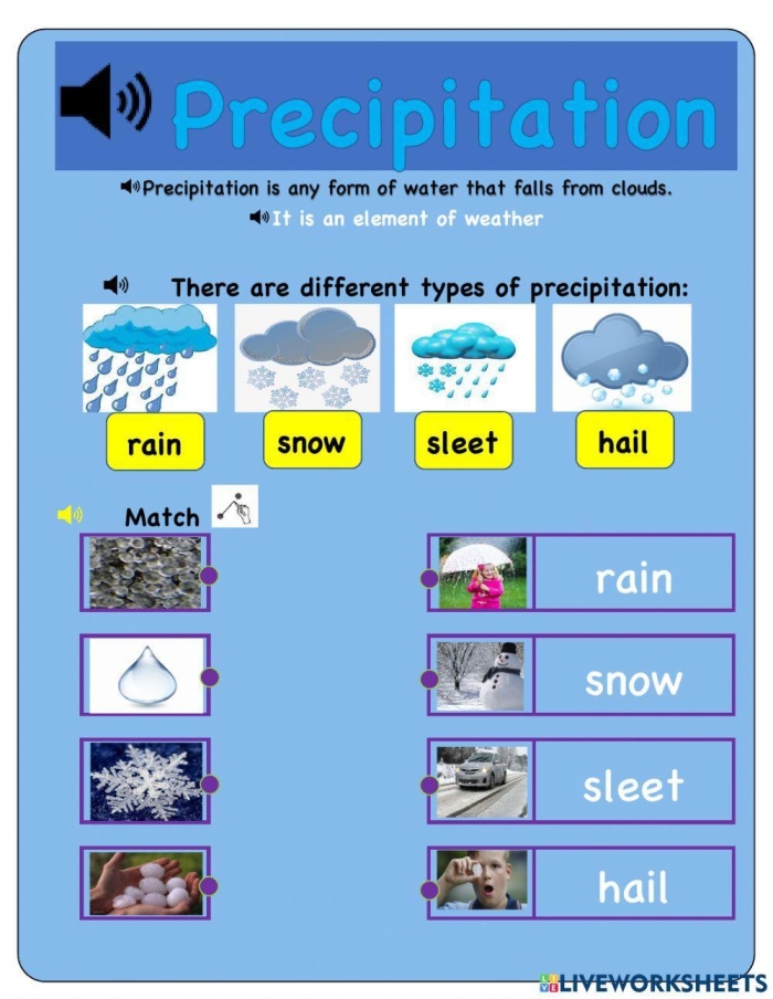 Third grade worksheet featuring a colorful diagram of precipitation in the water cycle for matching activity