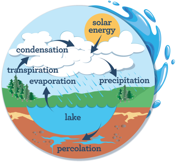 Third grade worksheet illustrating the precipitation stage of the water cycle for students to label