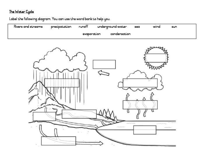 ALT text: Colorful diagram showing the water cycle with precipitation falling from clouds, evaporation from water, and condensation processes labeled for third grade students