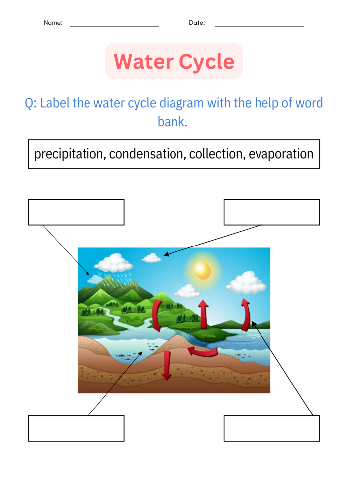 Colorful diagram showing water cycle precipitation process with clouds releasing rain and water moving through different stages for third grade students to match and label