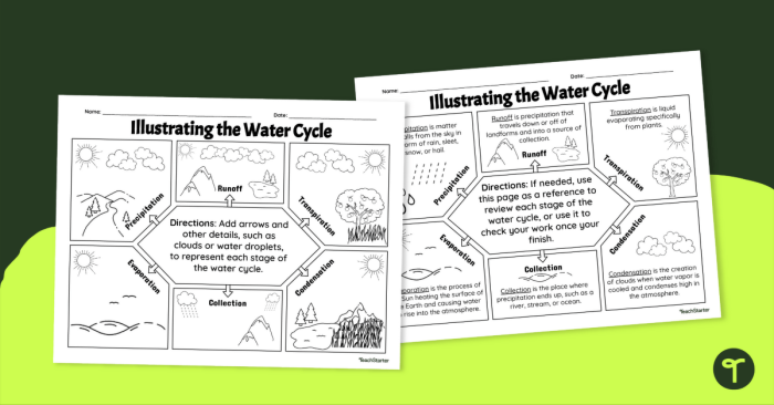 Fifth grade worksheet featuring a detailed water cycle diagram for students to color