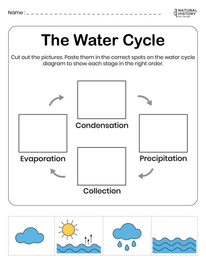 Fifth grade student completing a water cycle matching worksheet for science test preparation