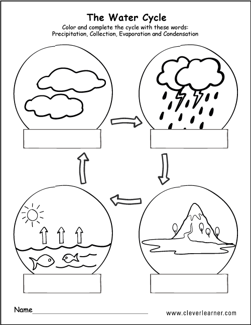 Fifth grade student practicing the water cycle matching worksheet for science test review