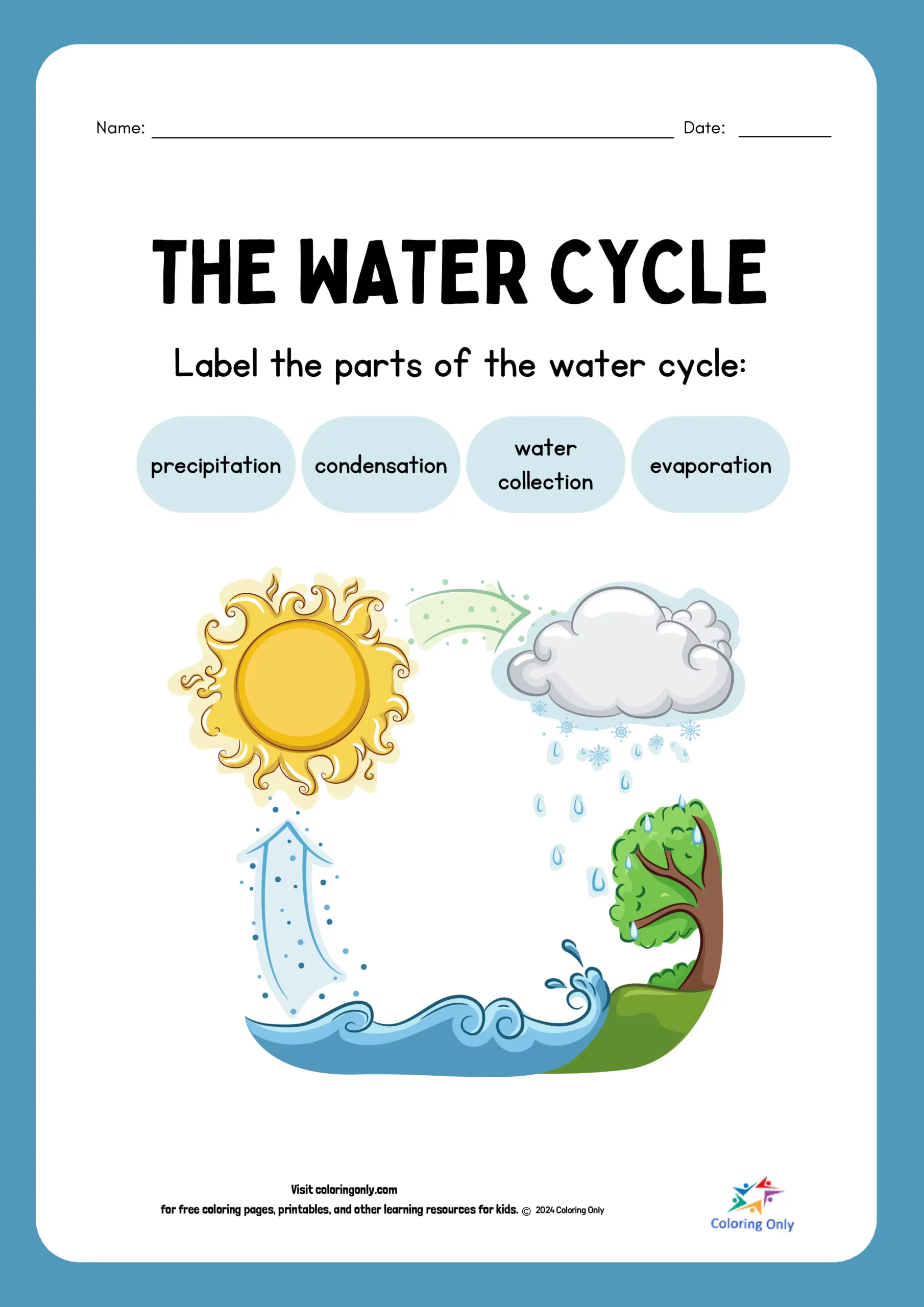 Second grade water cycle worksheet depicting the stages of evaporation and precipitation