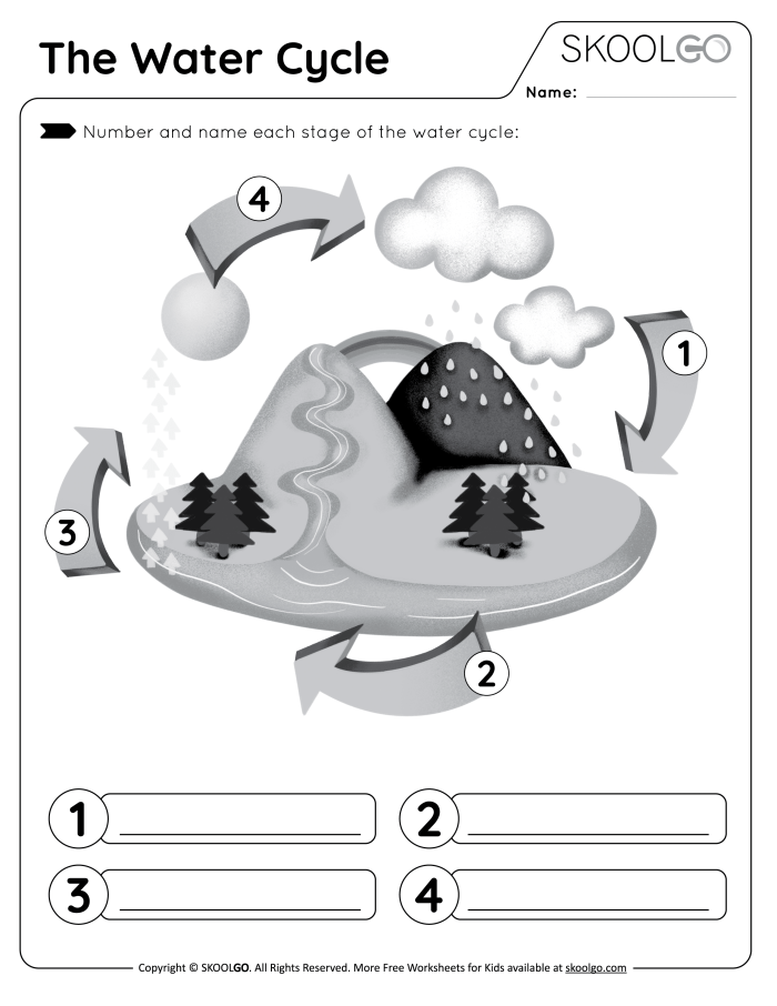 First grade water cycle diagram worksheet showing the stages of evaporation and precipitation
