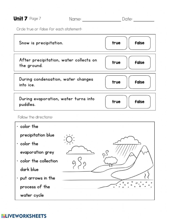 Second grade science worksheet illustrating the steps of the water cycle for students to learn about earth processes