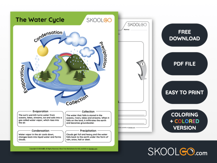 Water cycle diagram for elementary students learning about natural weather systems Fourth grade reading worksheet illustration showing the water cycle process with evaporation, condensation, and precipitation stages