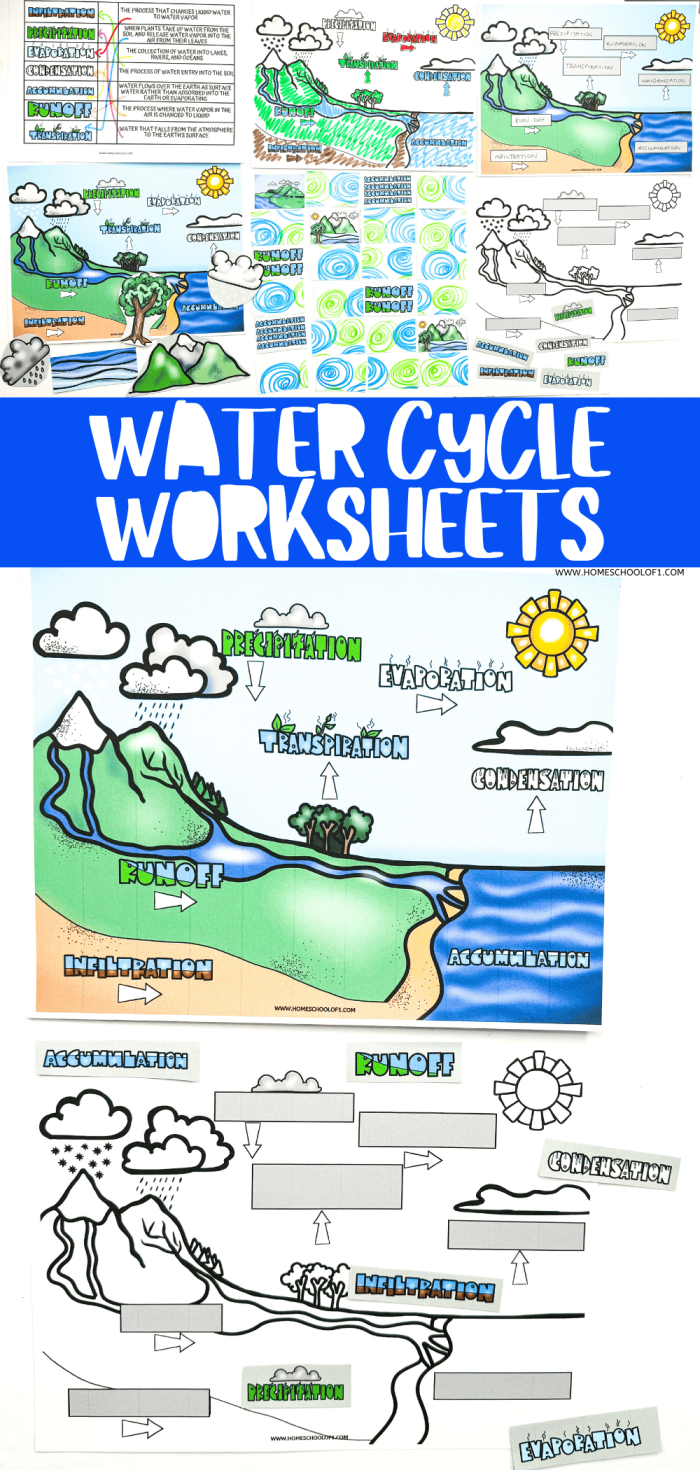 Illustration of the water cycle for second graders focusing on recycling water through evaporation, condensation, and precipitation