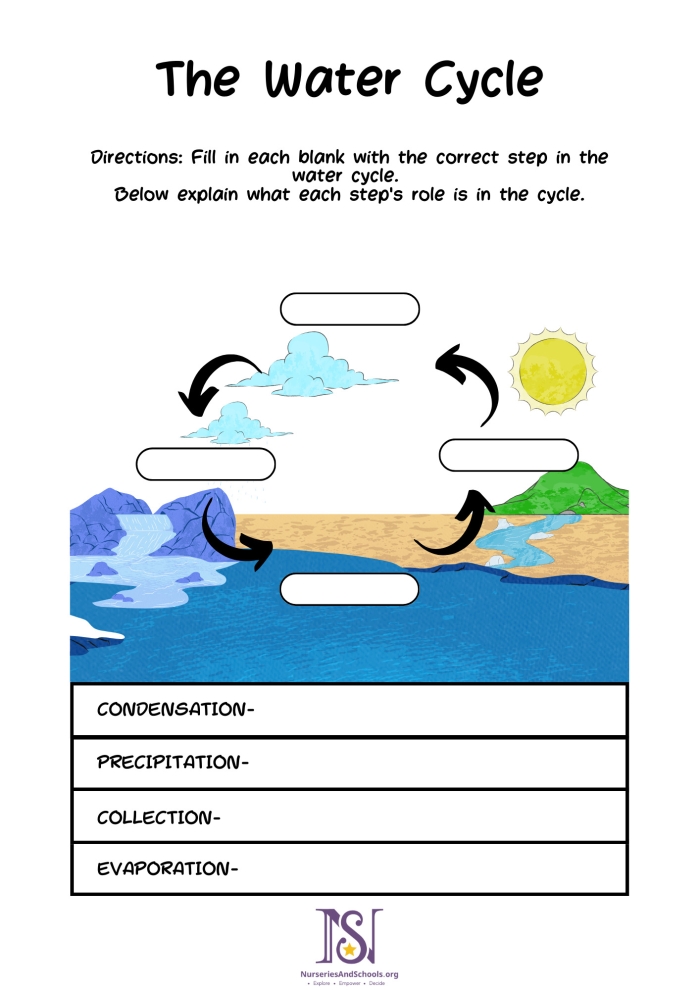 What Is the Water Cycle Worksheet Educational Resource 19 Fourth grade reading worksheet explaining the processes and stages of the water cycle