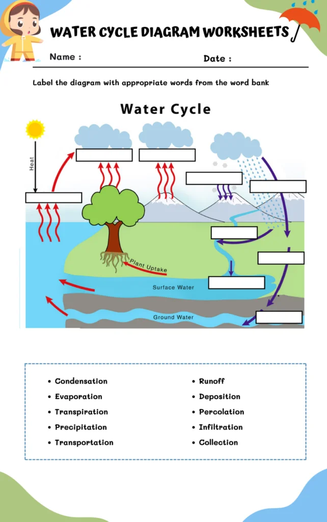 First grade students completing a water cycle diagram worksheet about cloud formation and rain