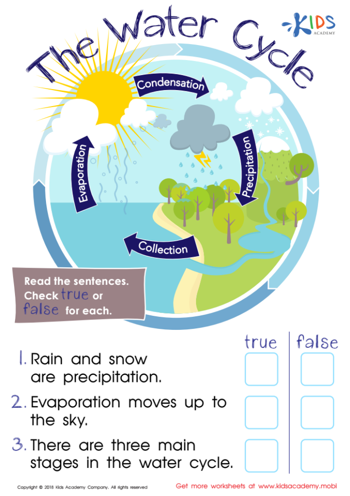 Illustration of the water cycle worksheet designed for second graders learning about fractions. Educational visual explaining the recycling and reuse of water on Earth.
