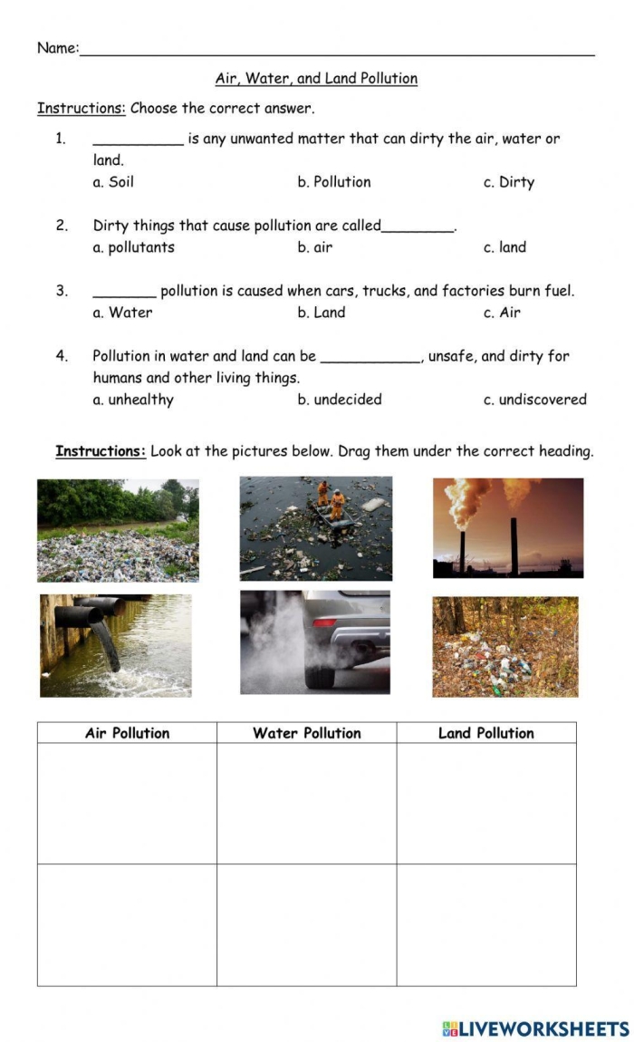 Sixth grade science worksheet focused on analyzing the human impact of water pollution through a student case study