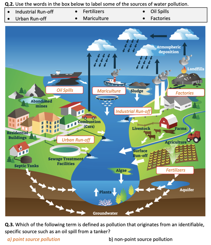 Sixth grade science worksheet focused on analyzing the effects of water pollution and environmental case studies