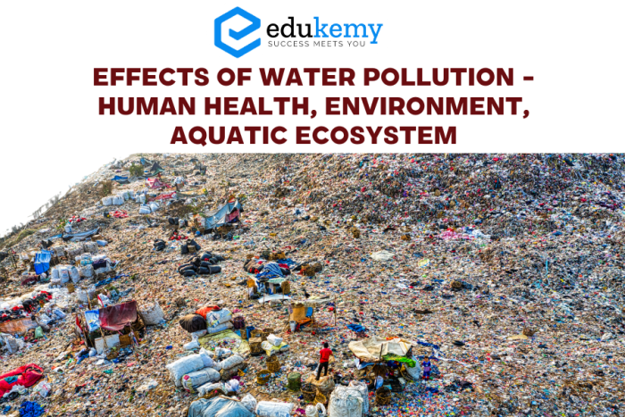 Worksheet on the effects of water pollution for sixth graders to analyze. Human Impact: Water Pollution educational worksheet for sixth-grade students.