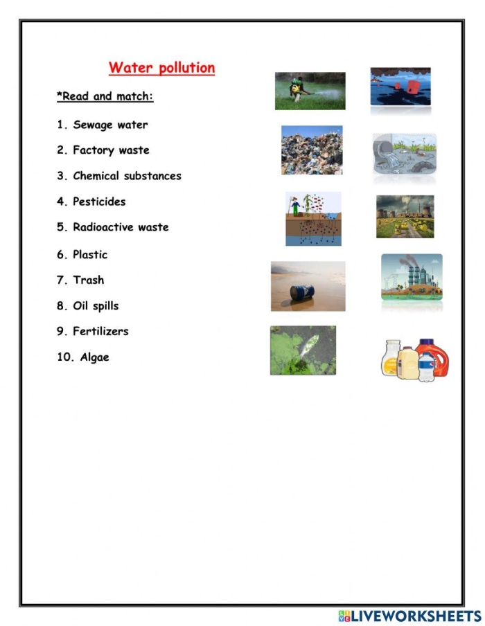 Students engaging with a Human Impact: Water Pollution worksheet in a classroom setting