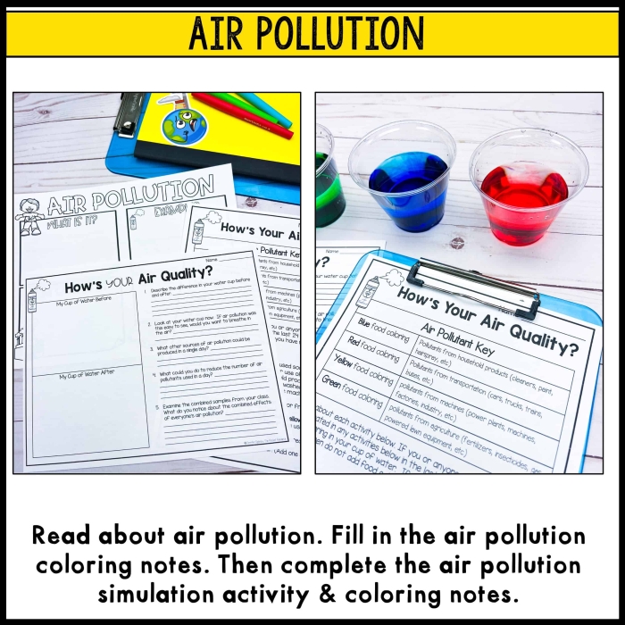 Sixth grade environmental science worksheet focusing on human impact and water pollution case studies