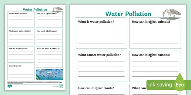 Sixth grade environmental science worksheet about the effects of human activity on water pollution