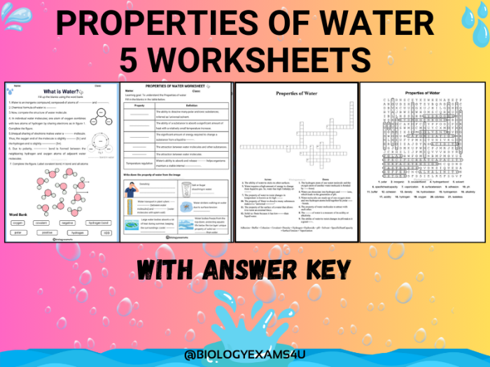 Word Families worksheet for Pre-K Kids engaging with a water-themed worksheet that explores various uses of water. Resource: Water worksheet for Pre-K students focusing on word families.