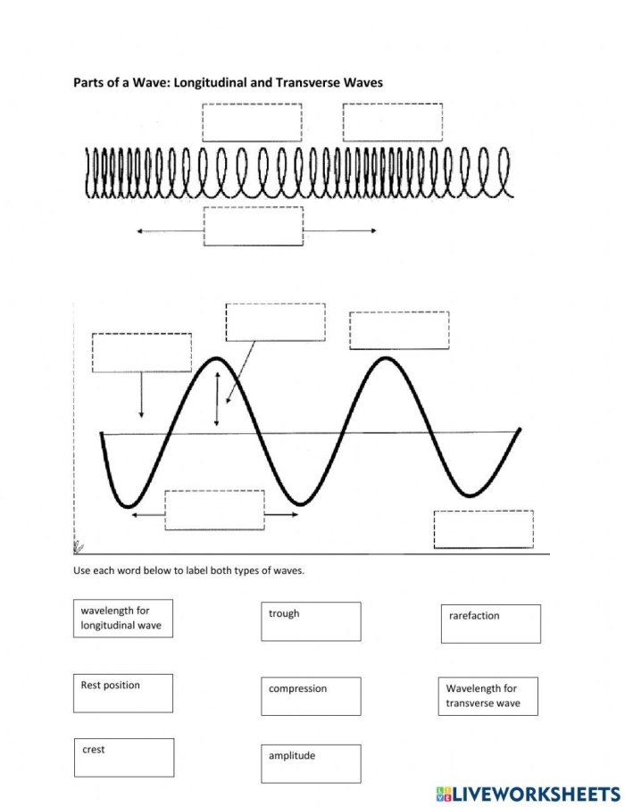 Sixth grade science worksheet covering the relationship between wave energy, amplitude, and frequency