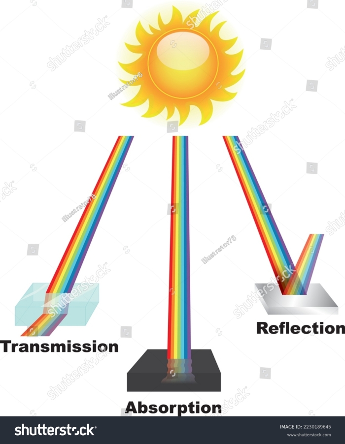 Understanding Wave Interaction Principles Worksheet 19 Sixth grade science students analyzing a diagram of wave transmission absorption and reflection on a worksheet