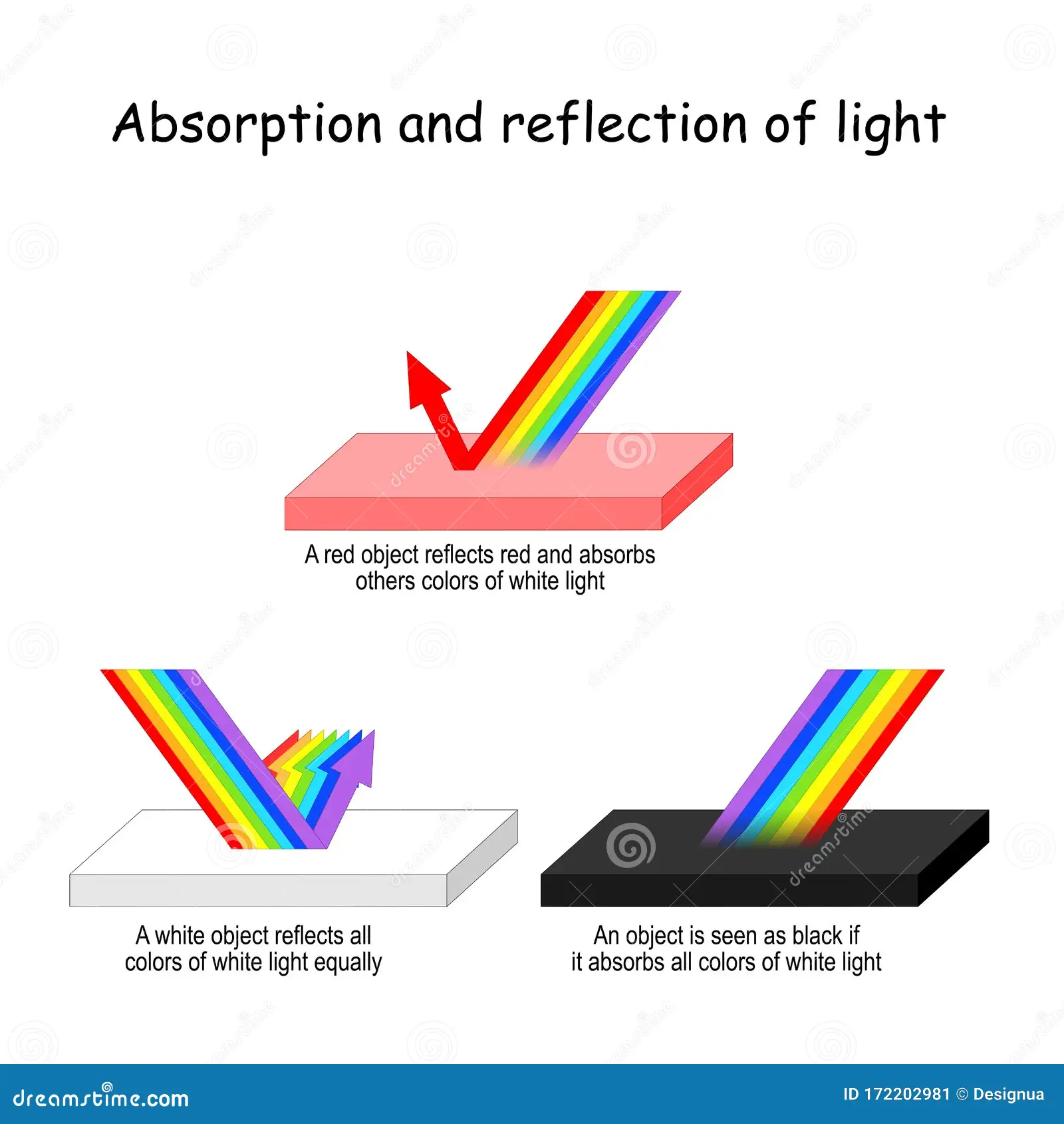 Transmission Absorption and Reflection Worksheet for Sixth Grade Science Sixth grade science students exploring the concepts of transmission absorption and reflection on a worksheet