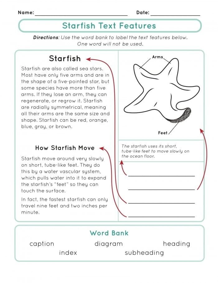 Reading worksheet for Third Grade Worksheet for third graders on nonfiction text features focused on extreme weather events. Nonfiction Text Features: Wild, Wild Weather Worksheet Image 16.