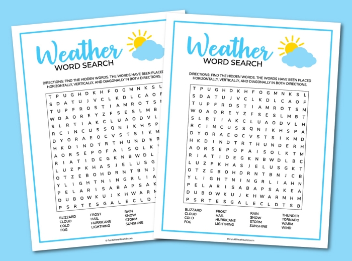 Weather Word Search worksheet designed for first graders exploring meteorology