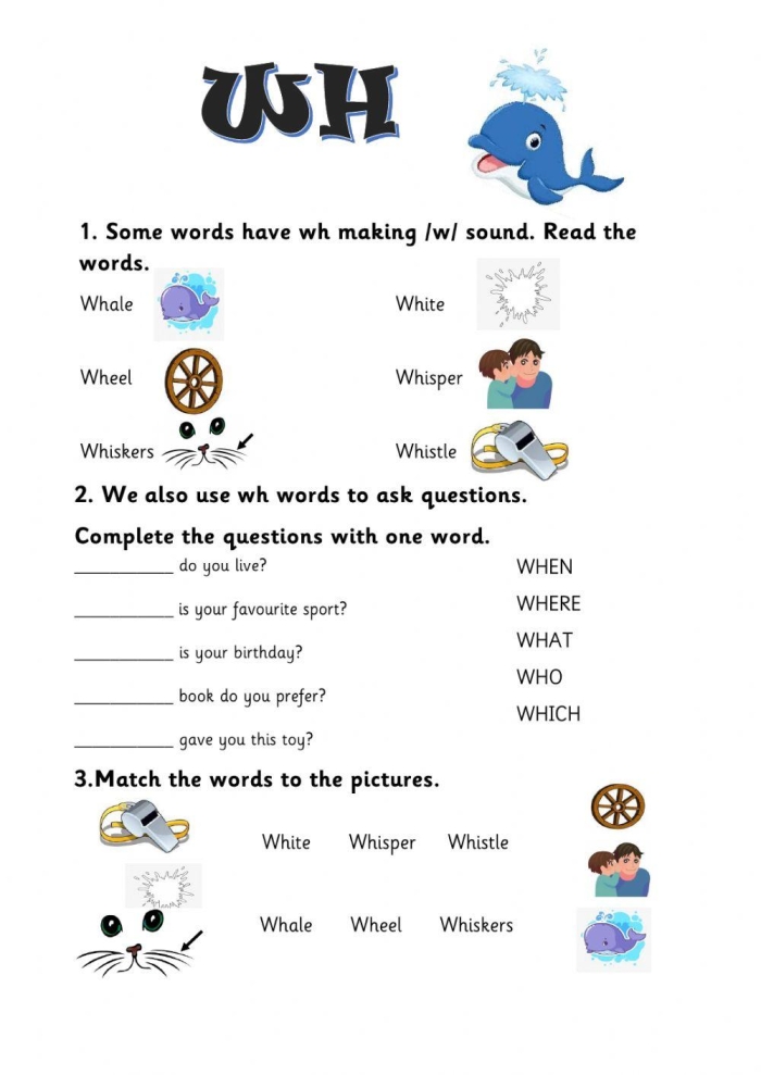 Second grade grammar worksheet teaching the five wh question words who what where why and when with practice exercises