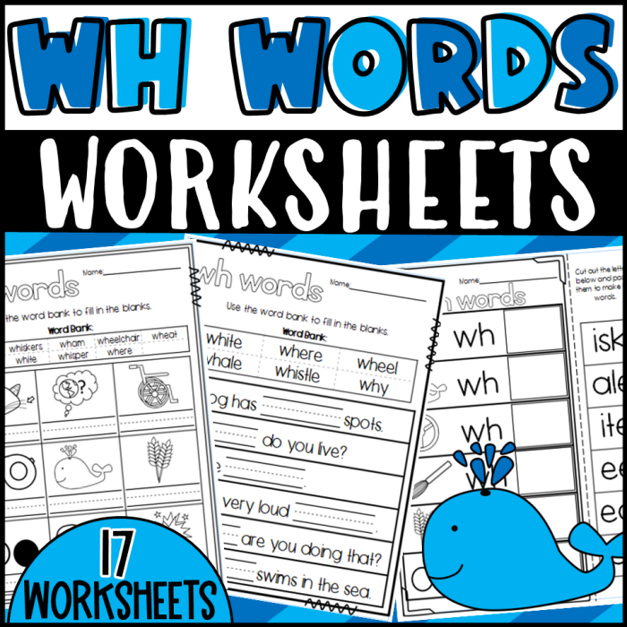 Second grade grammar worksheet focusing on identifying and using who what where why and when questions