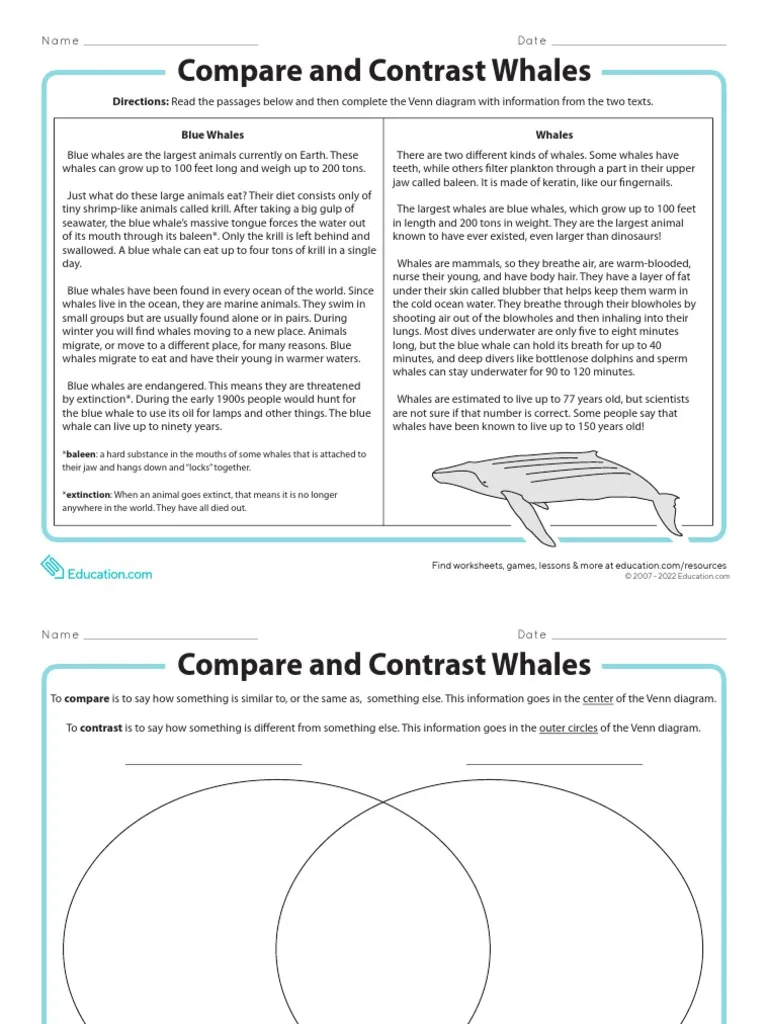 Venn diagram worksheet for comparing and contrasting whales, designed for third-grade students. Educational resource to help students analyze similarities and differences in nonfiction texts about whales.