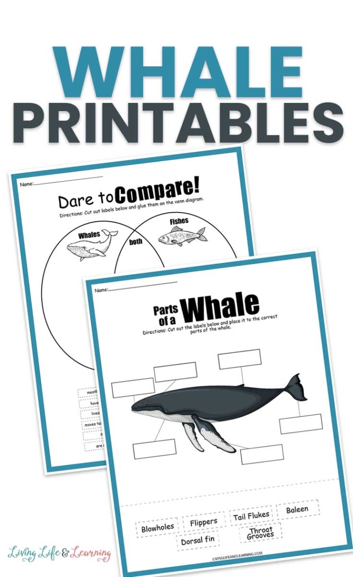 Long Division Whale Muncher worksheet for fourth grade math practice number twenty-one Fourth grade math worksheet featuring Lenny the whale eating long division problems with remainders
